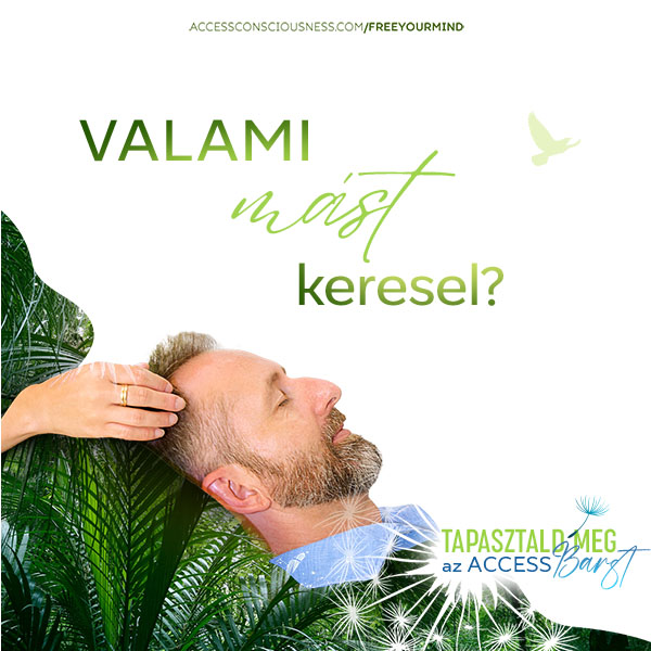 Első Access kezelés nyugodt környezetben Veszprém és környékén